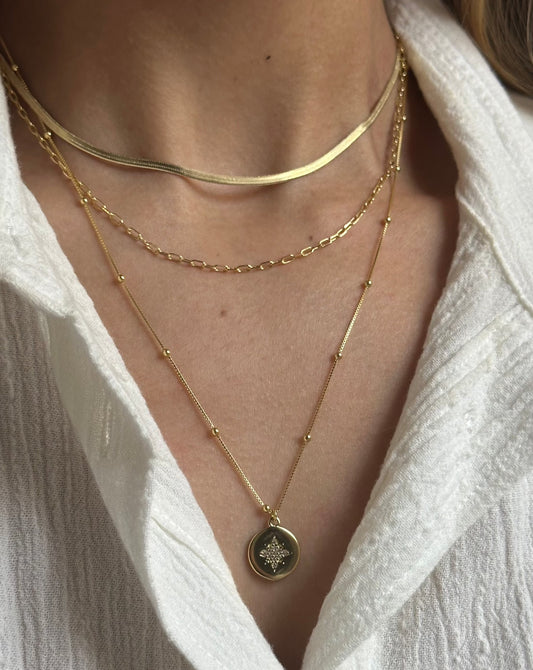 Collar Estrella Guía