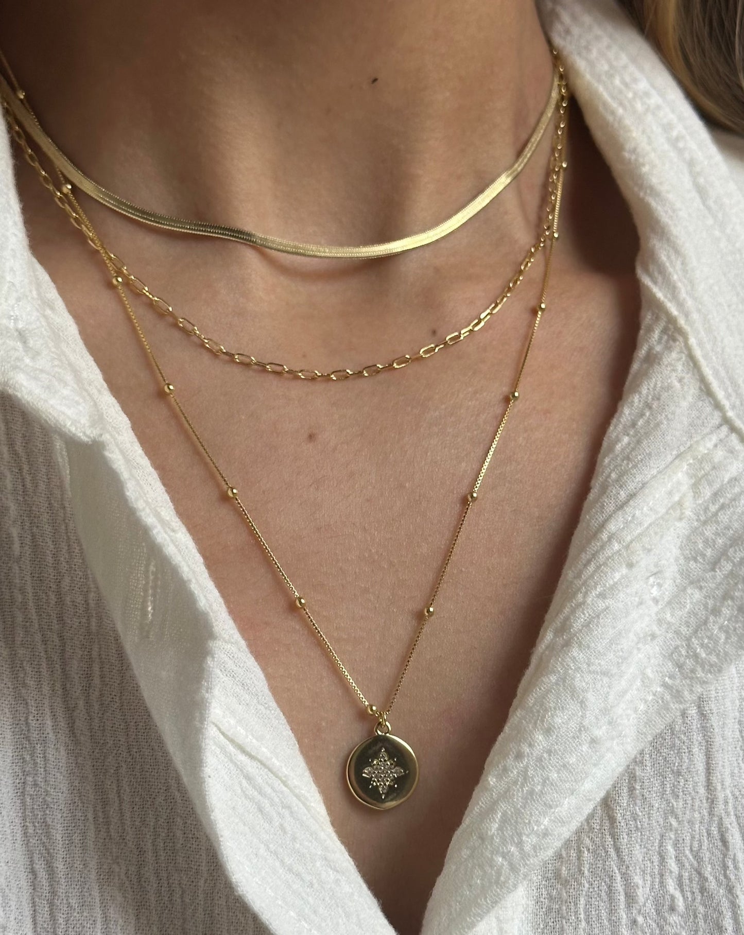 Collar Estrella Guía