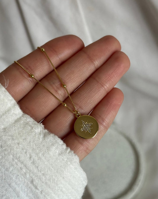 Collar Estrella Guía