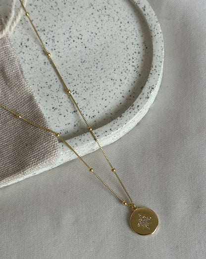 Collar Estrella Guía